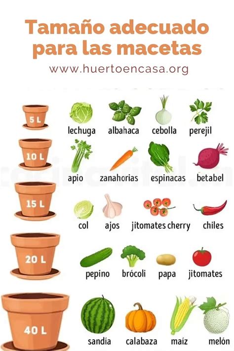 Ilustración mostrando el tamaño adecuado de un bocado para la dieta post-bariátrica