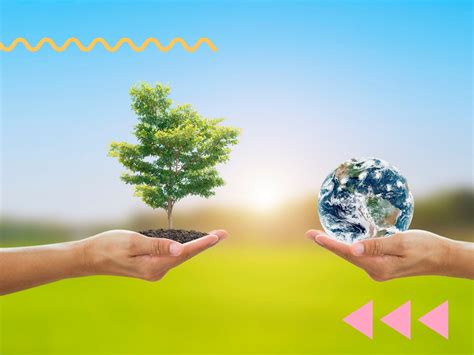 Infografía sobre la triple funcionalidad del monte (social, ambiental, económica)