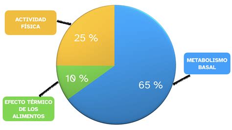 Gráfico comparativo de la ingesta calórica y el gasto energético en niños.
