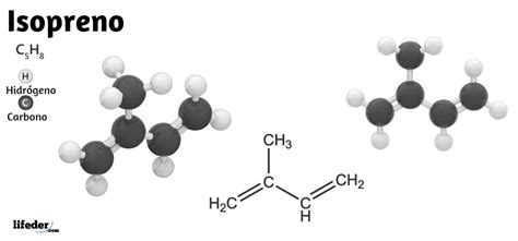 Ilustración de la estructura molecular general de un terpénoide, destacando la unidad de isopreno.