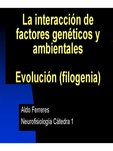 Diagrama simplificado de la interacción de factores genéticos, ambientales y conductuales en el desarrollo de la obesidad.