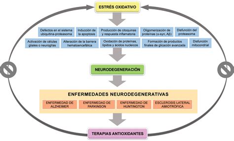 Representación esquemática de la relación entre capacidad olfativa, enfermedades neurodegenerativas y obesidad