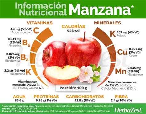 Infografía mostrando la composición nutricional de una fruta genérica (agua, vitaminas, minerales, fibra).