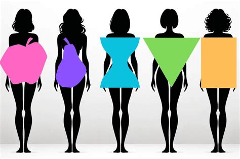 Diagrama comparativo de los diferentes tipos de cuerpo femenino y las fajas recomendadas.