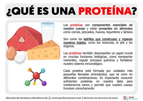 infografía sobre la importancia de la proteína y el entrenamiento de fuerza para preservar la masa muscular durante una dieta hipocalórica
