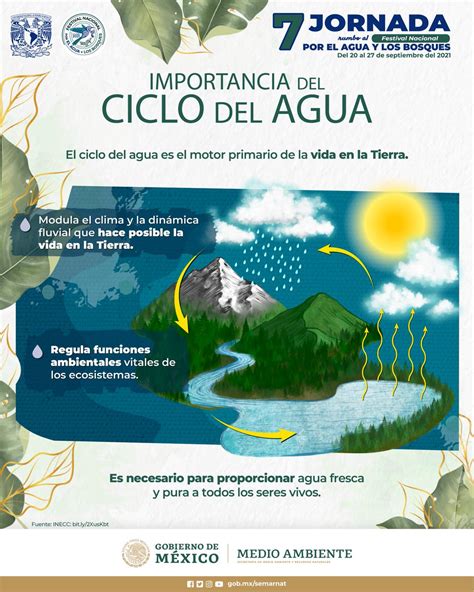Infografía sobre el ciclo del agua y su gestión.