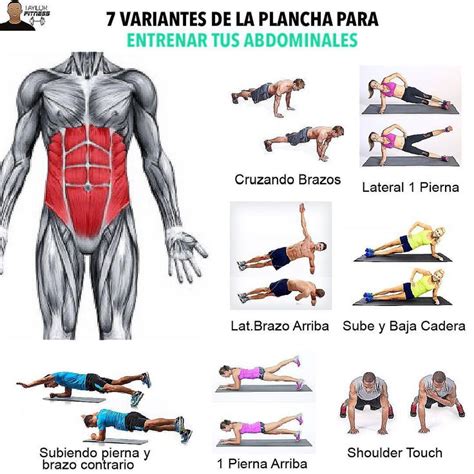 infografía de diferentes tipos de planchas abdominales