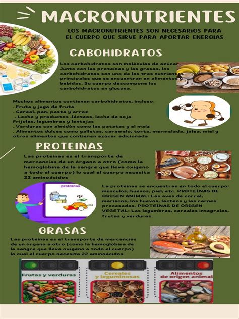 infografía con los macronutrientes principales de la dieta cetogénica: grasas, proteínas y carbohidratos