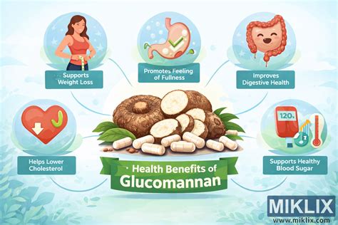 Infografía comparativa de los beneficios del chitosán y el glucomanano para el control de peso y la salud digestiva.