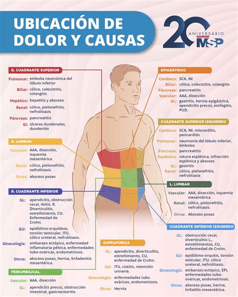 Infografía con los principales puntos de localización del dolor abdominal y posibles causas asociadas.