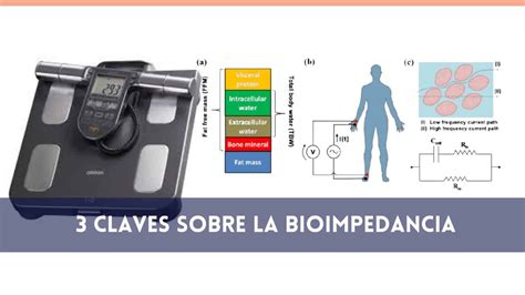 Diagrama explicando el principio de funcionamiento de la bioimpedancia eléctrica (BIA).