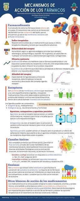 Infografía detallando los mecanismos de acción del CLA en la reducción de grasa corporal, mostrando la inhibición de la lipogénesis y la estimulación de la lipólisis.