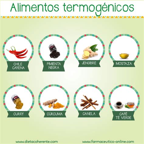 Ilustración de varios alimentos termogénicos como jengibre, canela, chiles y quinoa.