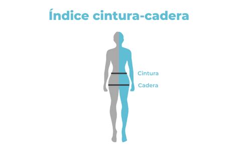 Ilustración anatómica mostrando la ubicación de la cintura y la cadera en el cuerpo humano.