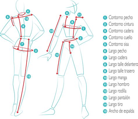Infografía con las principales medidas corporales necesarias para patrones de ropa (pecho, cintura, cadera, etc.).