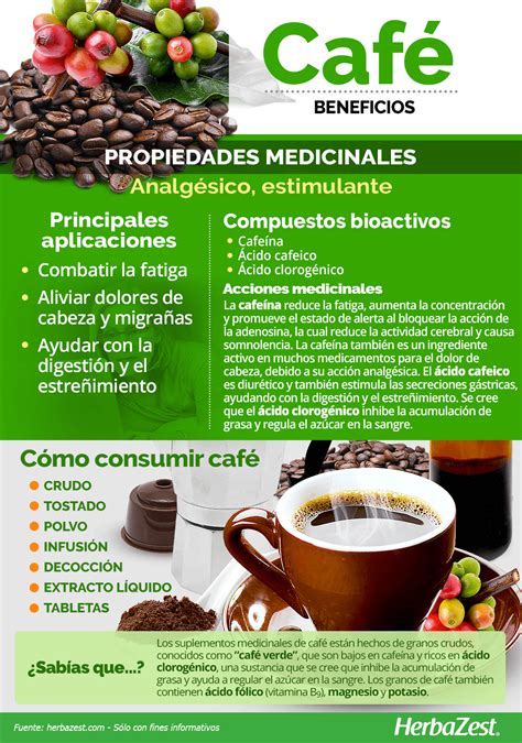 infografía sobre los beneficios del café y el té para la salud