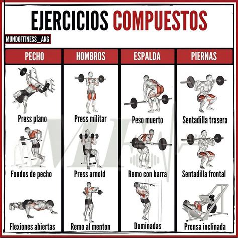 Infografía: Principales ejercicios compuestos para el desarrollo muscular.