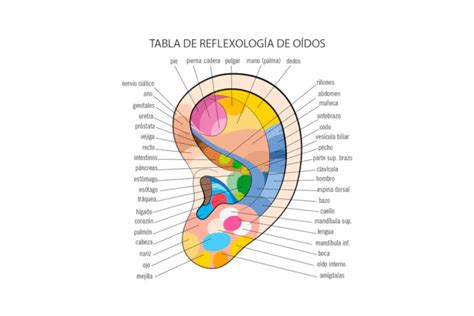 mapa de puntos reflejos en el pabellón auricular
