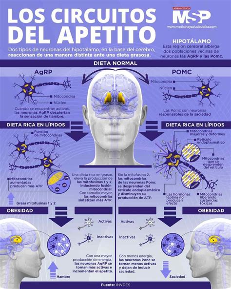 infografía mostrando puntos auriculares para el control del apetito y la saciedad