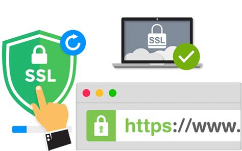 Iconos de seguridad SSL y métodos de pago disponibles.