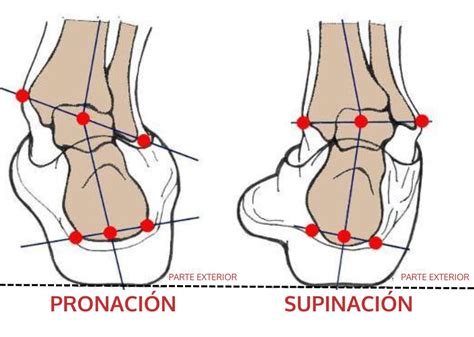 Diagrama del movimiento de pronación del pie durante la carrera.