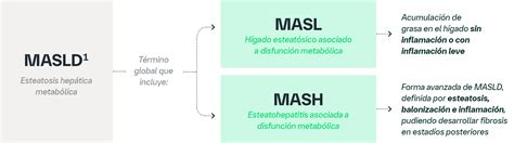 Diagrama que compara los hallazgos de la biopsia hepática en MASLD y MASH.