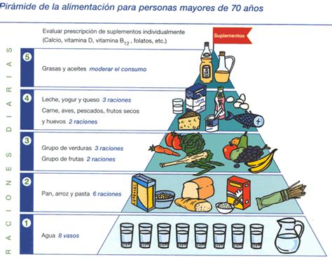 infografía: Pirámide alimenticia adaptada para adultos mayores, destacando grupos de alimentos clave como lácteos, proteínas magras, frutas y verduras, granos integrales y grasas saludables.