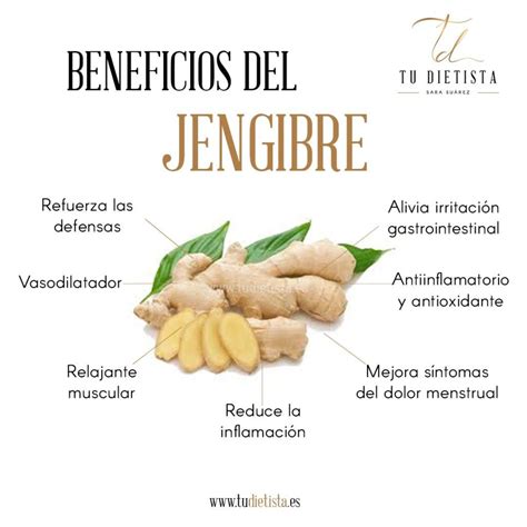 Infografía mostrando los beneficios del jengibre: mejora metabólica, antiinflamatorio, digestivo, y fortalecimiento inmune.