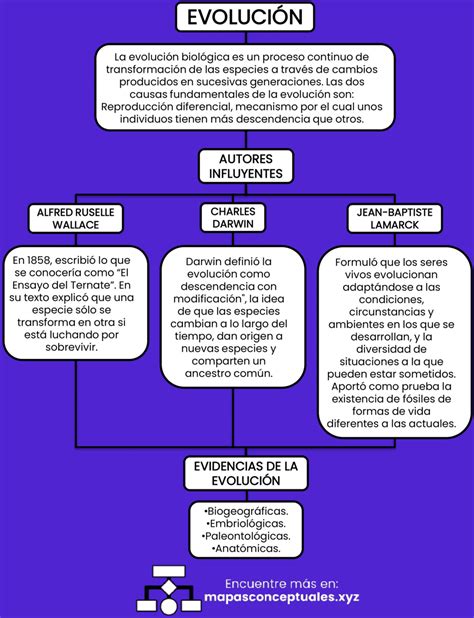 Esquema comparativo de la evolución retrógrada y la evolución por reclutamiento de rutas metabólicas.
