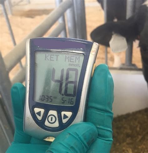 Fotografía de un medidor portátil de cetosis (BHB) en uso en una granja lechera.