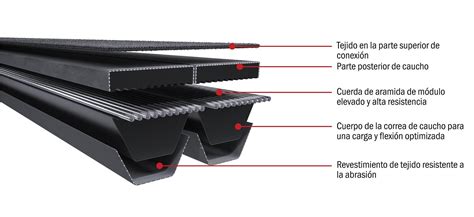 Infografía mostrando la estructura de una correa plana con sus capas de tracción y arrastre.