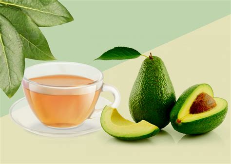 Infografía detallando los diversos beneficios del té de hojas de aguacate