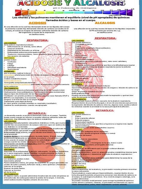 Infografía detallando los diferentes tipos de acidosis metabólica y sus causas.