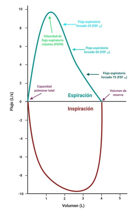 Gráfico que muestra la curva de flujo espiratorio con y sin esfuerzo inspiratorio inefectivo.