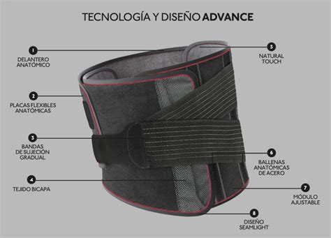 Infografía detallando las partes de una faja lumbar y sus puntos de soporte