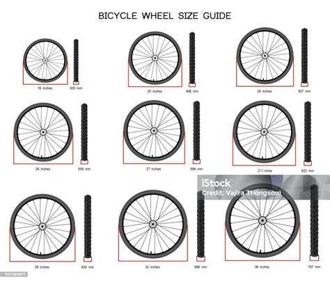 Ilustración comparativa de diferentes tamaños de ruedas de bicicleta (26