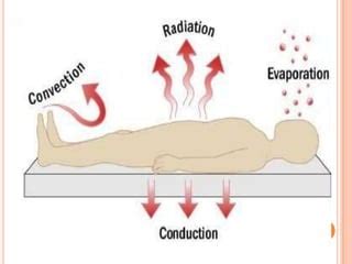 Esquema de los mecanismos de pérdida de calor corporal: conducción, radiación, convección y evaporación.
