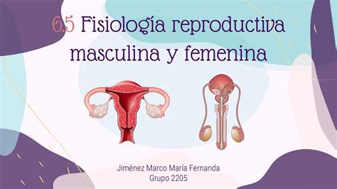 Gráfico comparativo de la fisiología deportiva masculina y femenina.