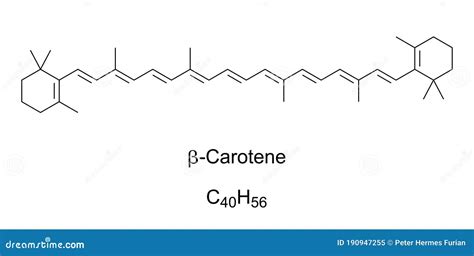 Esquema molecular del β-caroteno.