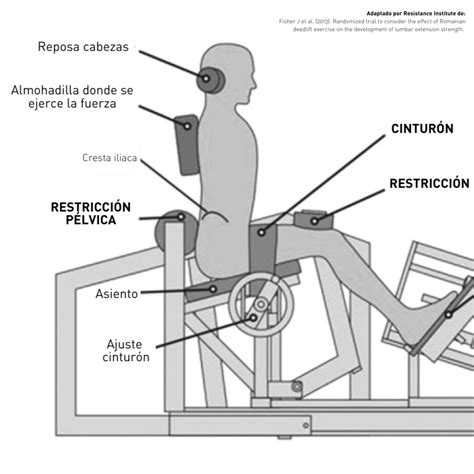 Esquema mostrando cómo medir la zona lumbar para elegir la talla correcta de la faja Tecnomed