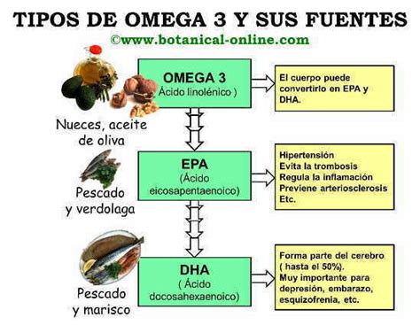 Infografía comparativa de los tipos de ácidos grasos omega-3: ALA, EPA y DHA.