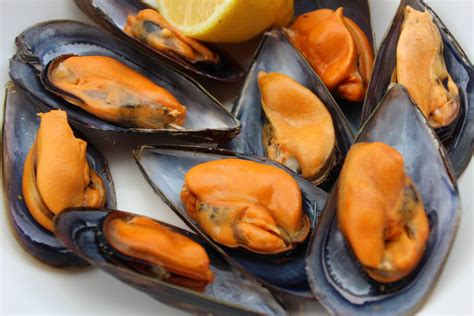 infografía comparativa de calorías de mejillones frescos y en conserva