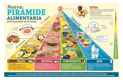 Infografía con la pirámide alimenticia, destacando los carbohidratos como fuente principal de energía.