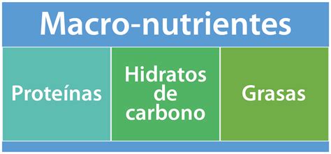 Gráfico comparativo de la distribución de macronutrientes en una dieta cetogénica estricta.