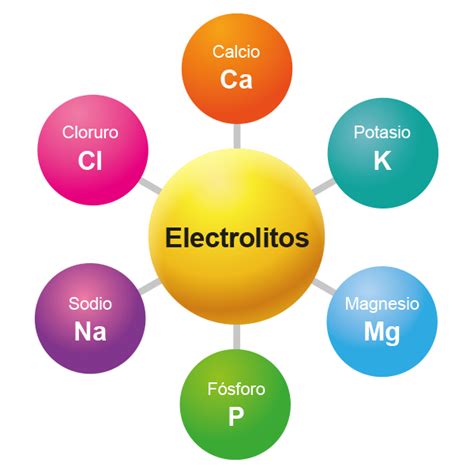 Infografía sobre la importancia de los electrolitos (sodio, potasio, magnesio) en la dieta cetogénica.