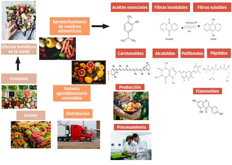 Infografía detallando los principales componentes nutricionales y bioactivos del mangostán.