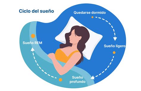 diagrama que muestra la conexión entre sueño, estrés y metabolismo