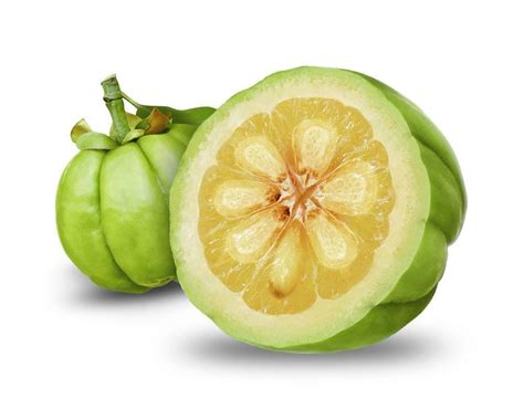 Ilustración del fruto de Garcinia Cambogia y su corteza.