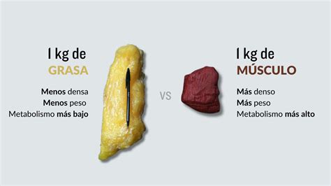 infografía comparativa de pérdida de peso: grasa vs. músculo vs. líquido