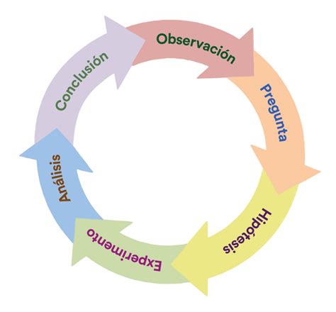 Esquema del Método PnK® con sus dos Momentos y los 5 pasos del Momento Pérdida de Peso.